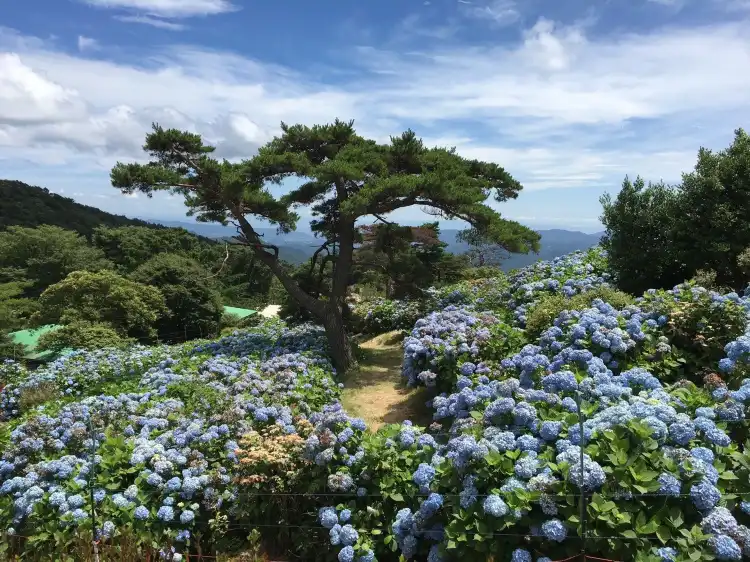 이나가와 초 호텔