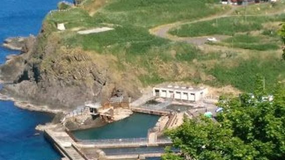 Otaru Shukutsu Panorama Observation Deck