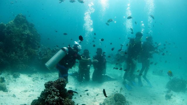 Go-Diving Scuba Studio