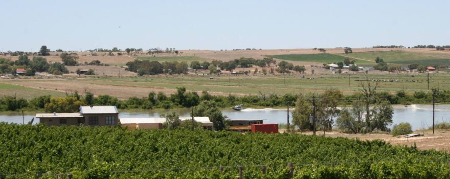 Willow Point Wines