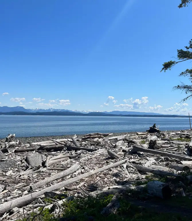 Comox-Strathcona J