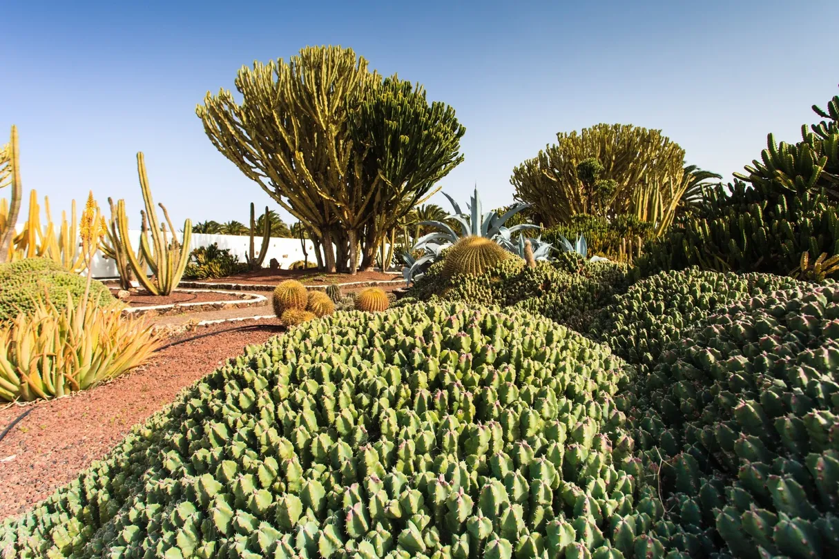 2_Museo del Queso Majorero
