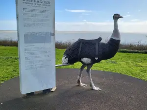 Birdman of the Coorong