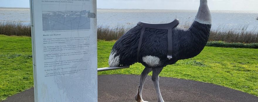 Birdman of the Coorong