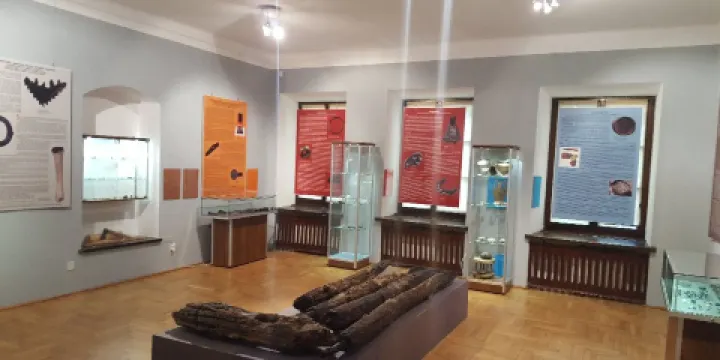 The Zamojskie Museum