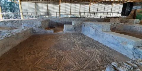 Villa Romana "El Ruedo"