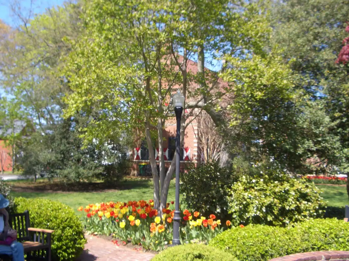 Zwaanendael Park & Herb Garden附近的飯店
