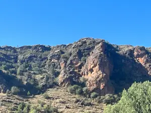 Pinares del Rodeno
