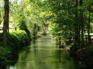 Parque Municipal de San Vicente