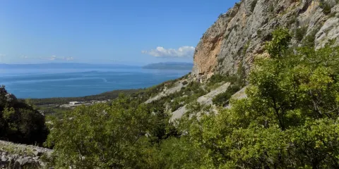 Botanical Garden Kotisina