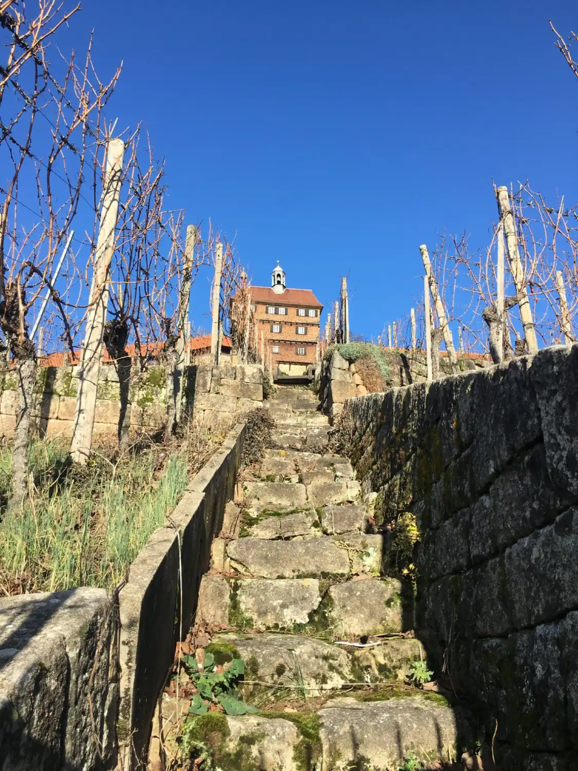 Hotel in zona Dicker Turm