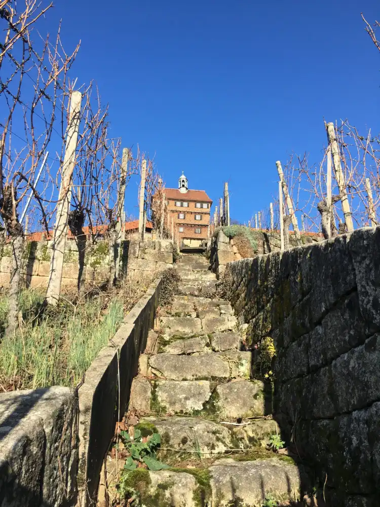 Hotels near Dicker Turm