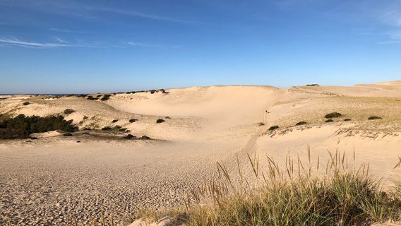 Provincetown
