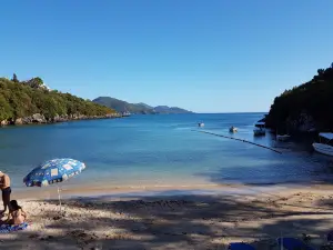 Zavia Beach
