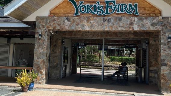 Yoki's Farm