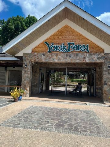 Yoki's Farm
