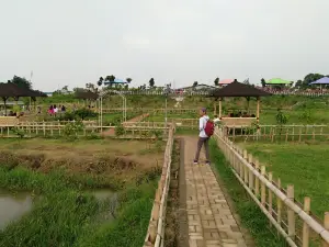 Parks Limo Jatiwangi