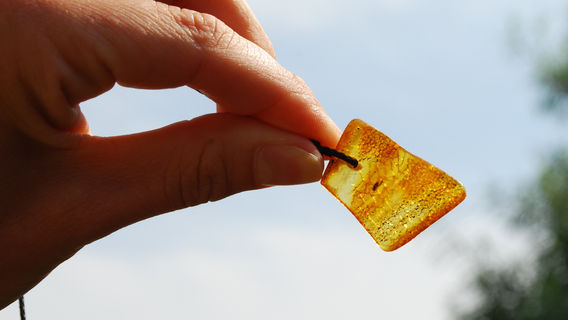 Naturerlebniszentrum Maasholm (NEZ)