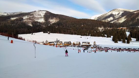 スキー リゾート タレ