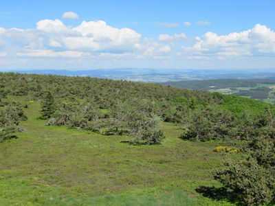 Mont Mouchet