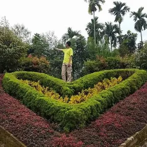 The Le Hu Garden