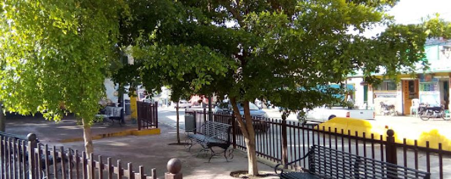 Park of the Vagos
