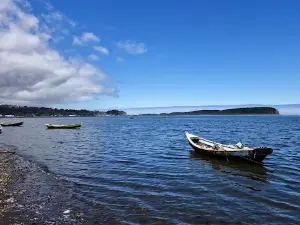 Costanera Puerto Saavedra