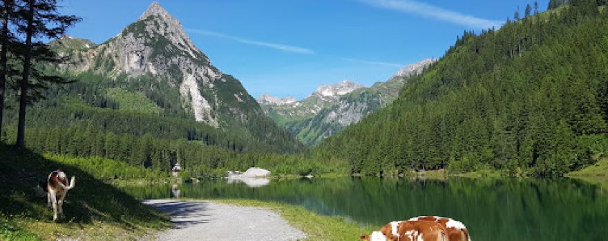 Schlierersee