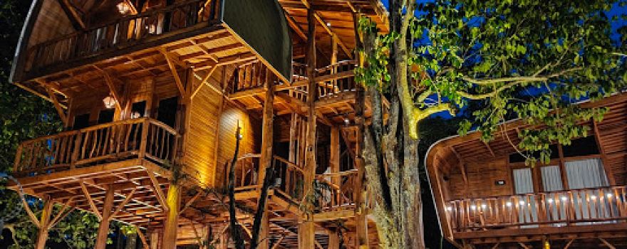 Sparks Forest Adventure