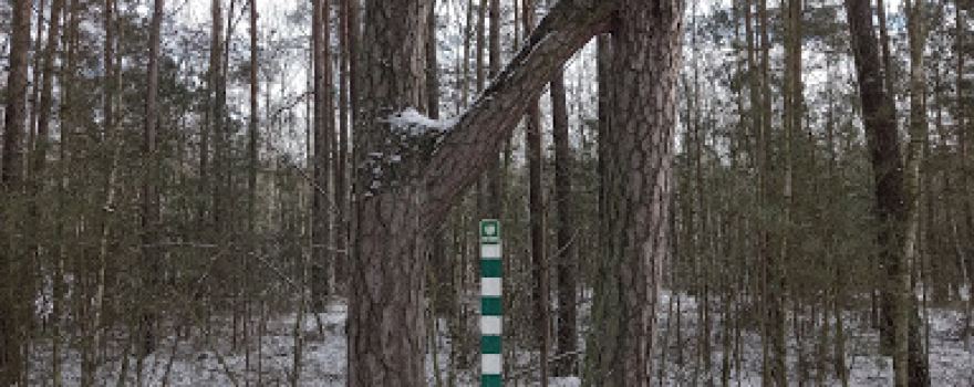 Pomnik Przyrody