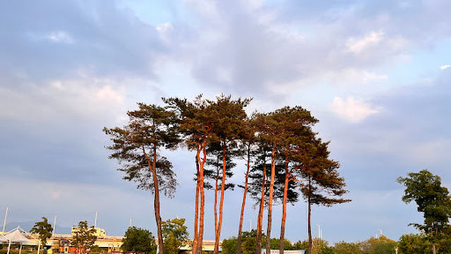Hwangnyong Riverside Park