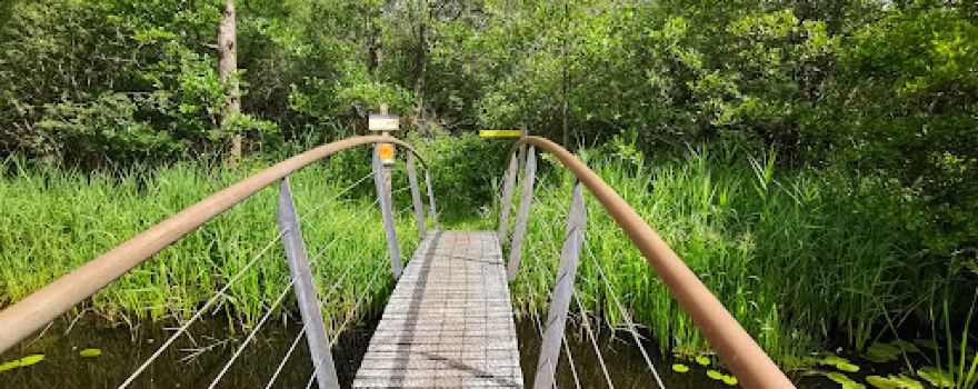 Vogelhut De Auken Natuurmonumenten