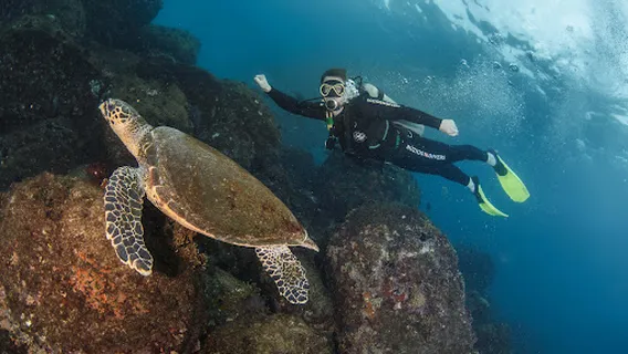 Búzios Divers Escola e Operadora de Mergulho