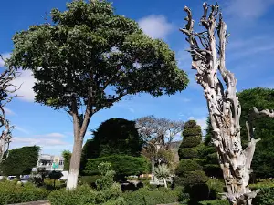 Parque Libertad