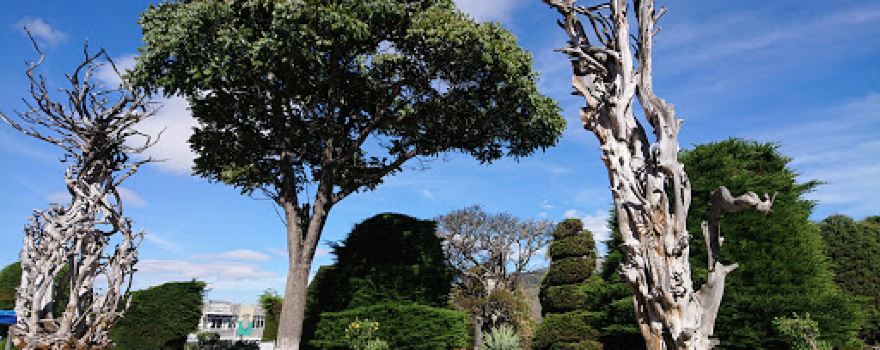Parque Libertad