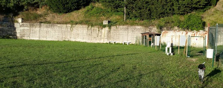 Stadio Aurelio Galasse