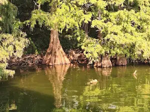 Lake Providence