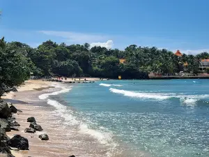Swallow's Beach