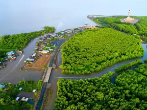 Đài quan sát rừng Cà Mau