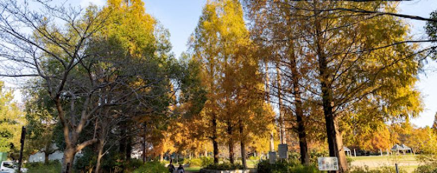 Matsubushi Memorial Park