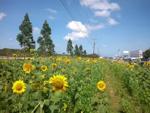 Parque de Exposições Pedro Coelho da Mota