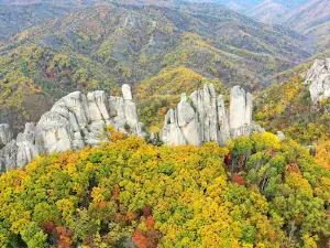 Парк Драконов