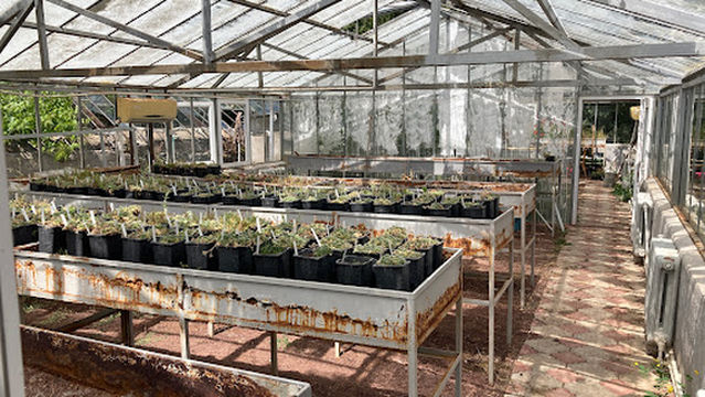 Sevan Botanical Garden