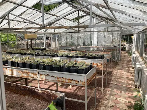 Sevan Botanical Garden