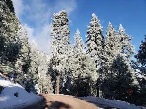 Greenhorn Mountain Park