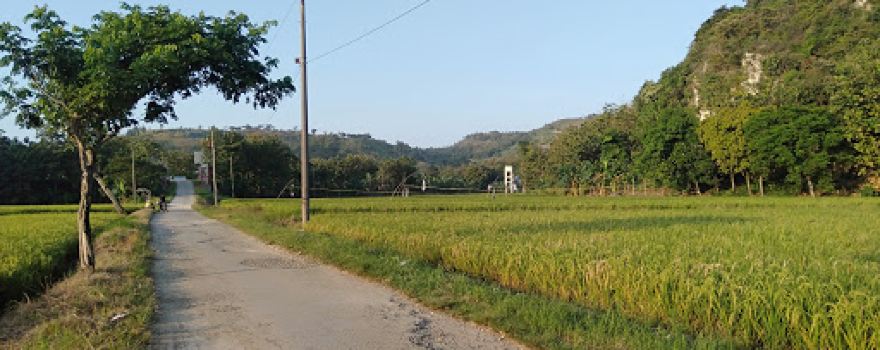 Desa Wisata Wonosoco
