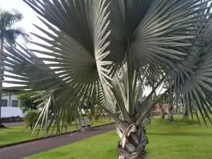 Leisure Center Sao Genario