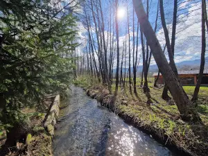Vâltorile din Săpânța