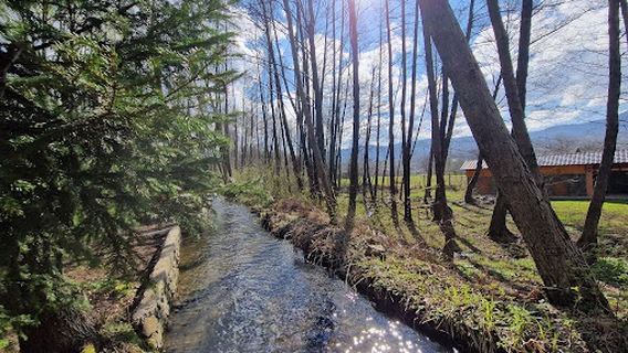 Vâltorile din Săpânța