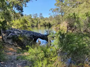 Warner Glen Campsite